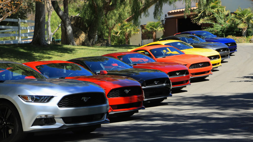 2015-Mustangs-at-the-ranch-002.jpg