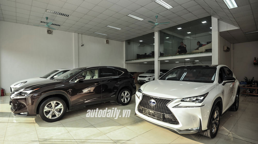 Lexus-NX300h-(1).jpg