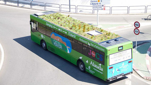 Green-Bus-3.jpg