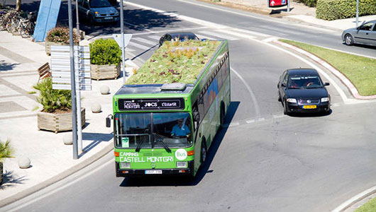 Green-Bus-6.jpg