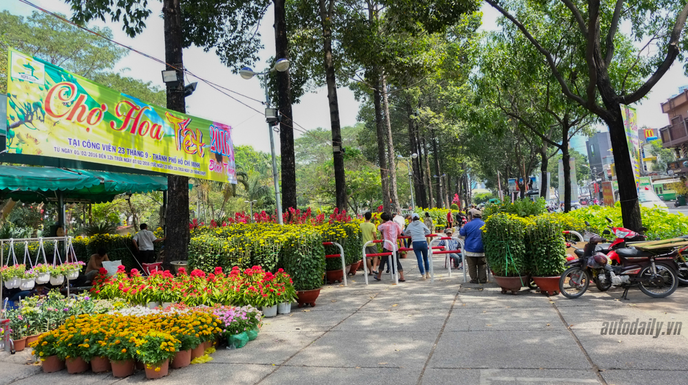 Phong_su_anh_Tet_2016%20(14).jpg