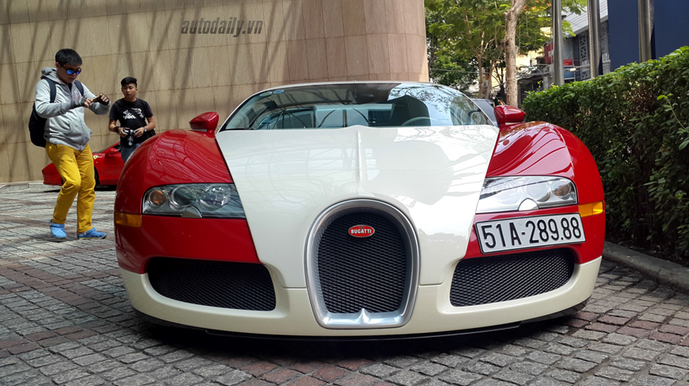 bugatti%20Veyron%20(2).JPG