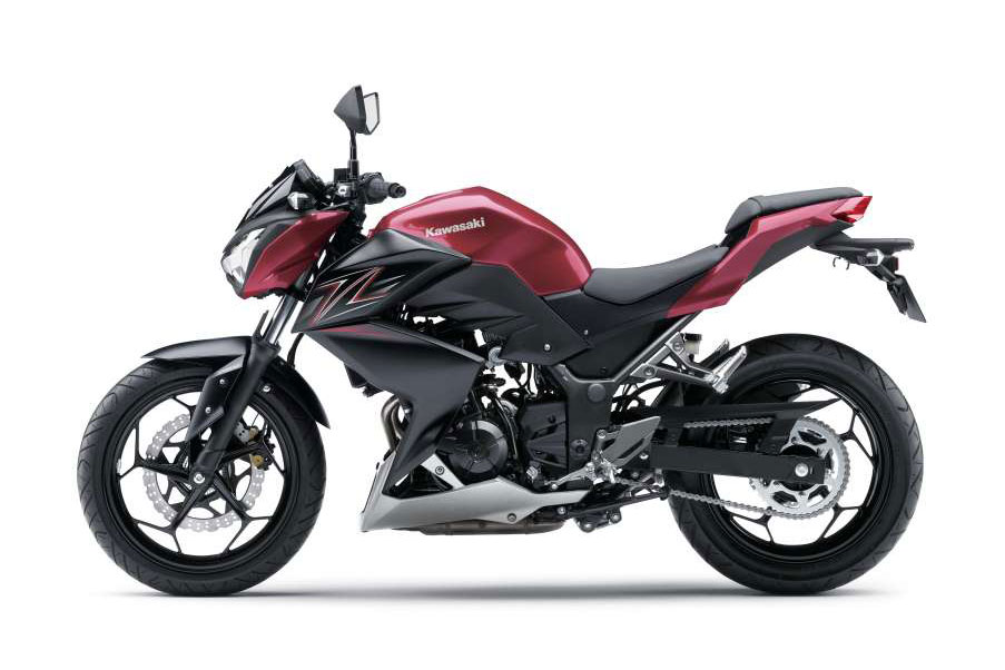 2016-Kawasaki_Z300_Special_Edition%20(1).jpg