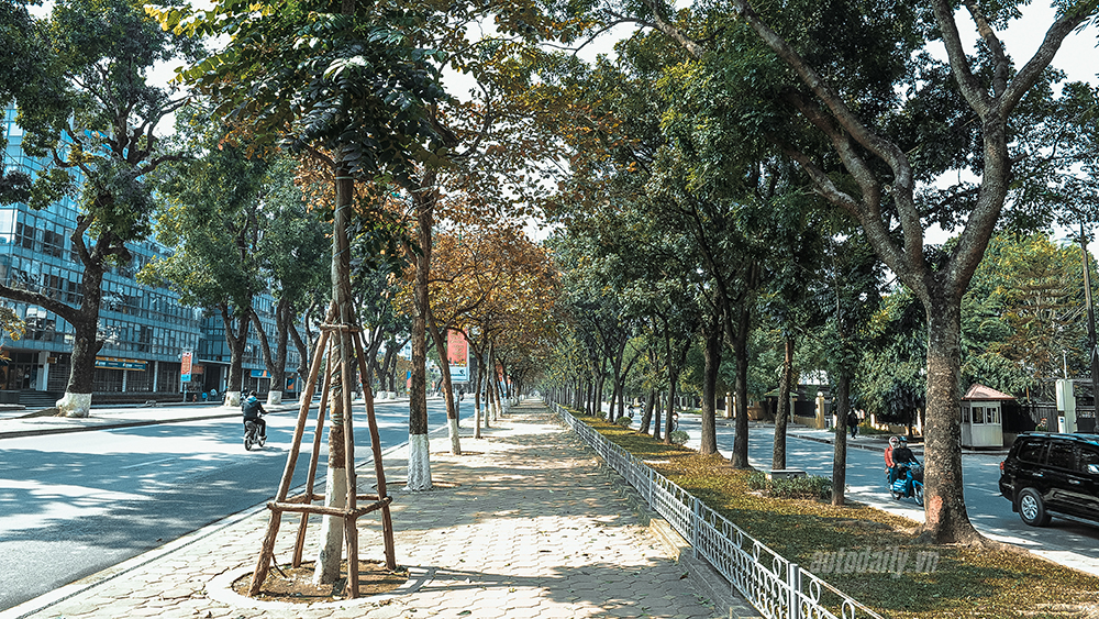 Phố phường Hà Nội trong ngày đầu năm